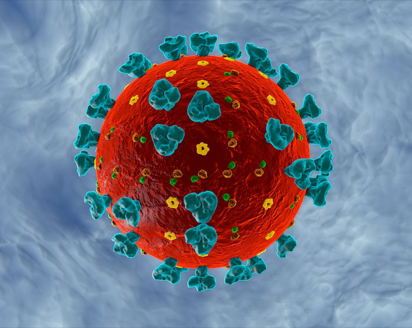 Corona Virus COVID-19 3D model 3D model_1