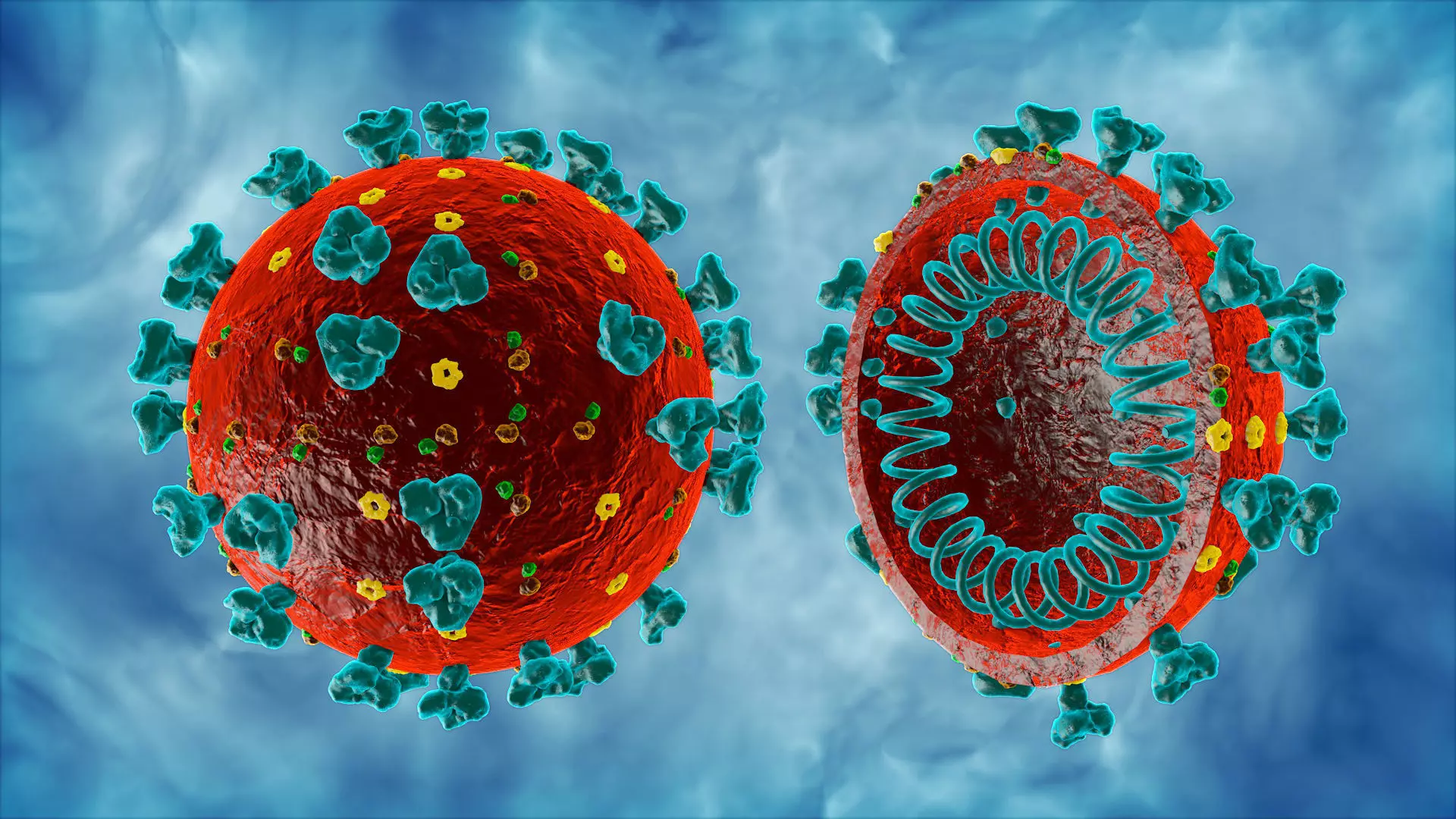 Corona Virus COVID-19 3D model 3D model_0