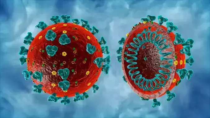 Corona Virus COVID-19 3D model