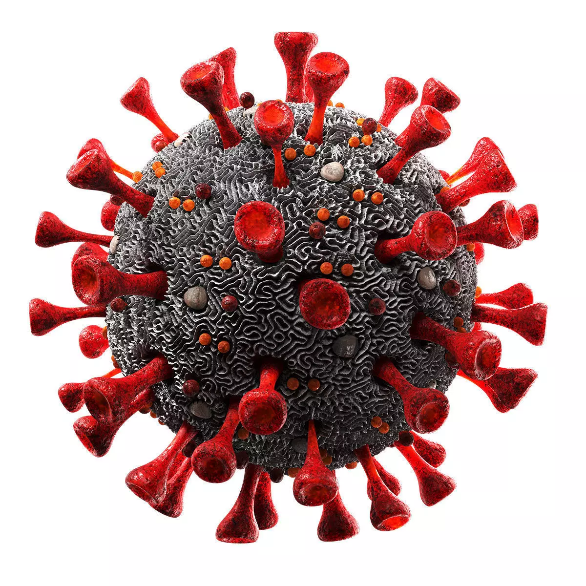 Coronavirus SARS-CoV-2 Low-poly 3D model_0