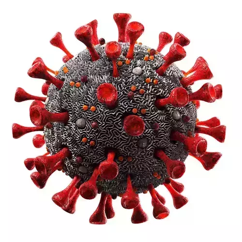 Coronavirus SARS-CoV-2 Low-poly 3D model