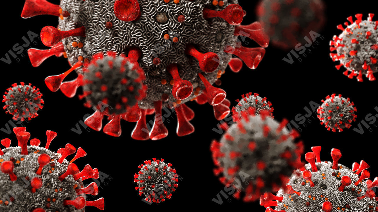 Coronavirus SARS-CoV-2 Low-poly 3D model_4