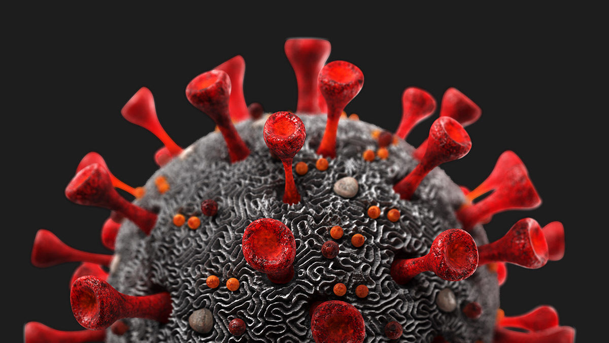 Coronavirus SARS-CoV-2 Low-poly 3D model_3