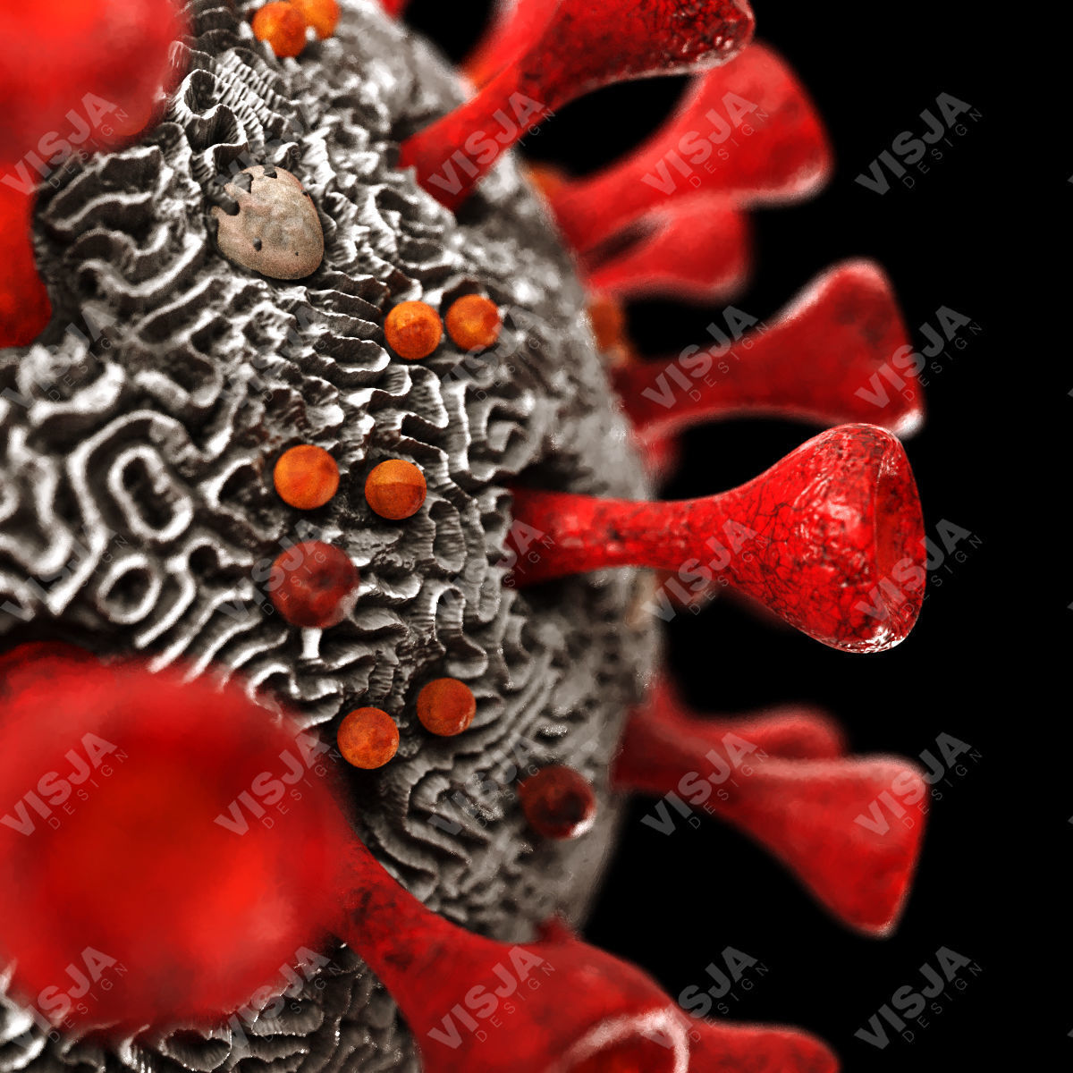 Coronavirus SARS-CoV-2 Low-poly 3D model_5