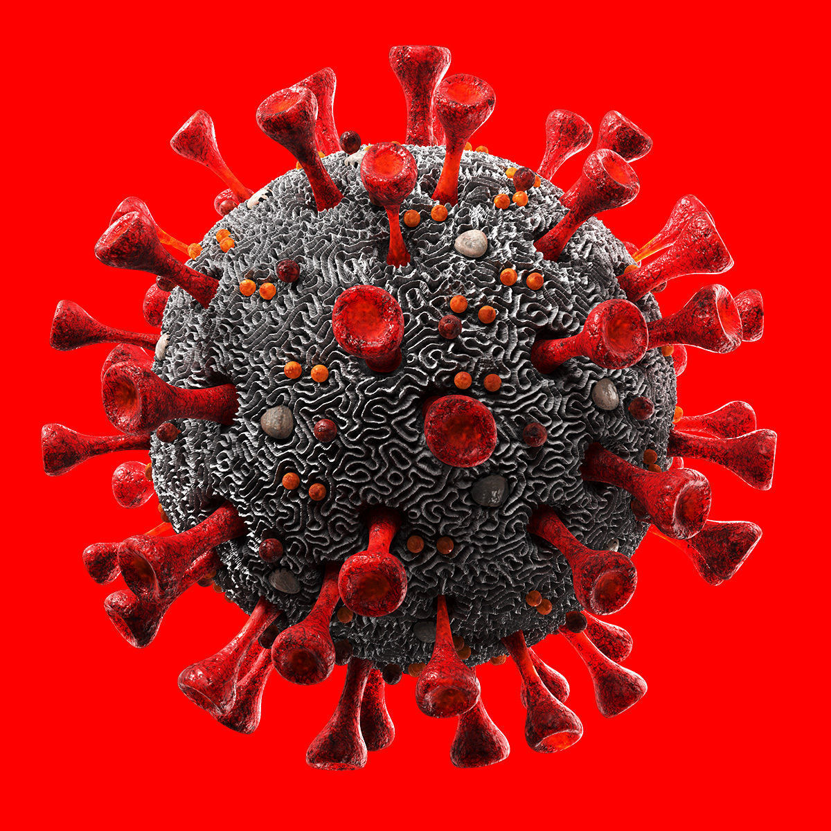 Coronavirus SARS-CoV-2 Low-poly 3D model_1