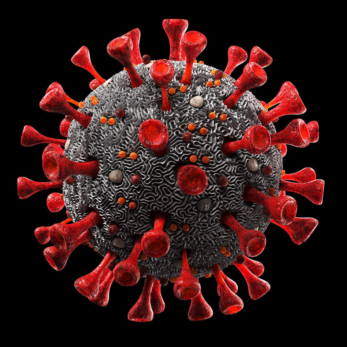 Coronavirus SARS-CoV-2 Low-poly 3D model_2