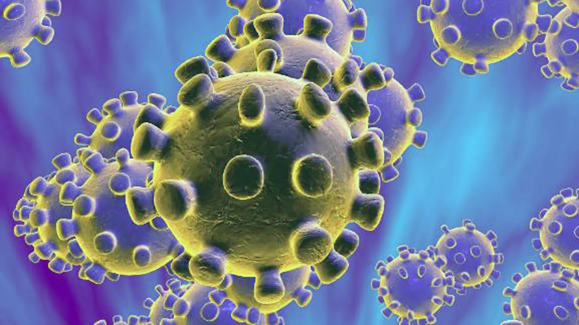 Corona Virus 3D model COVID19 Virus Free low-poly 3D model_0