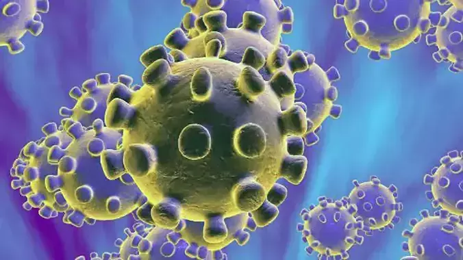 Corona Virus 3D model  COVID19  Virus 