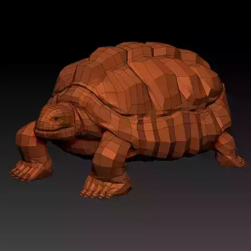 3D TURTLE - LOW POLY tortoise