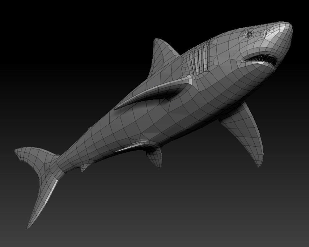 3D SHARK Low-poly 3D model_4