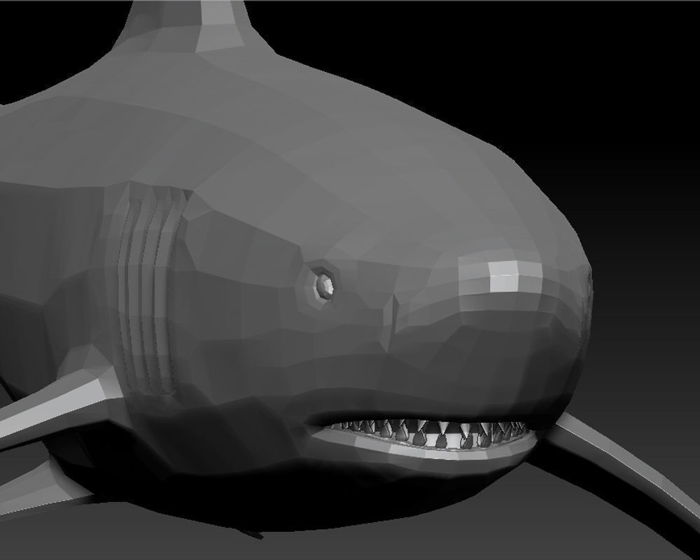 3D SHARK Low-poly 3D model_13