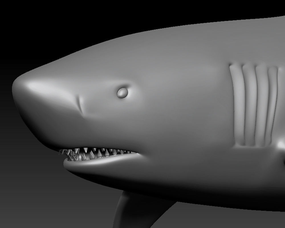 3D SHARK Low-poly 3D model_5