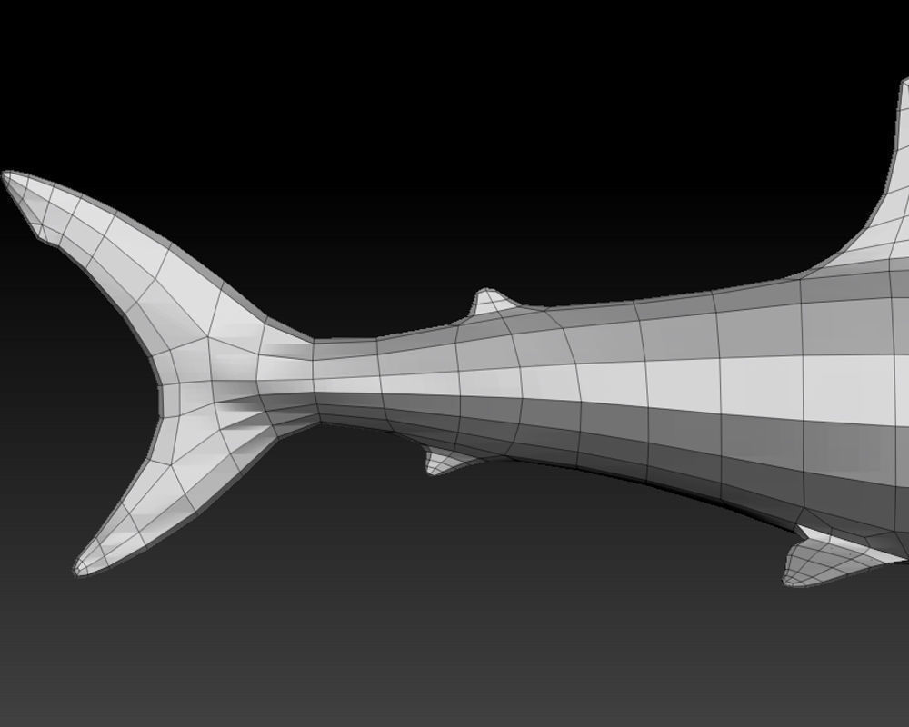 3D SHARK Low-poly 3D model_1