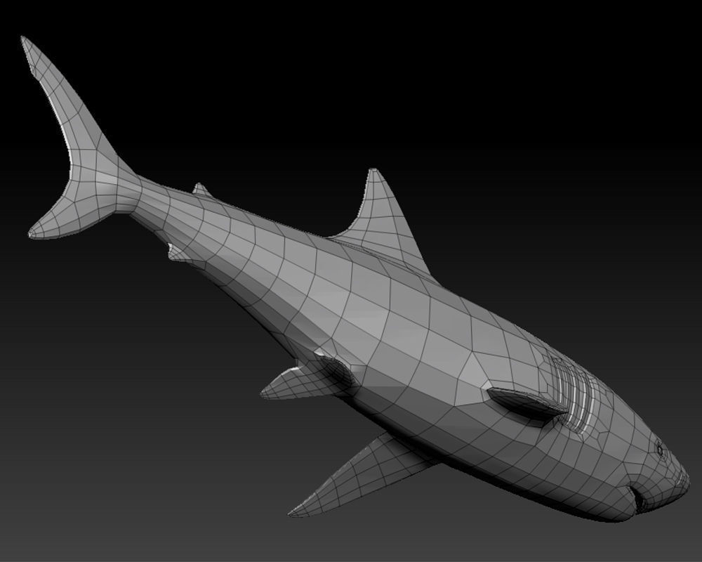 3D SHARK Low-poly 3D model_14
