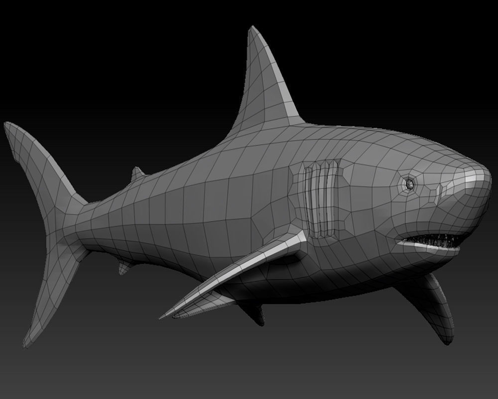 3D SHARK Low-poly 3D model_3
