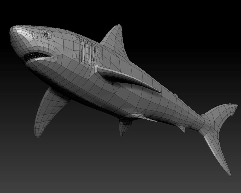 3D SHARK Low-poly 3D model_16
