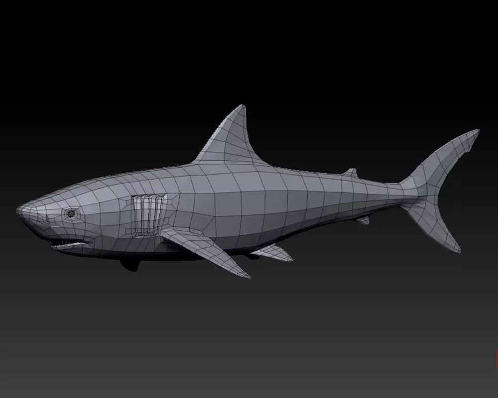 3D SHARK Low-poly 3D model_0