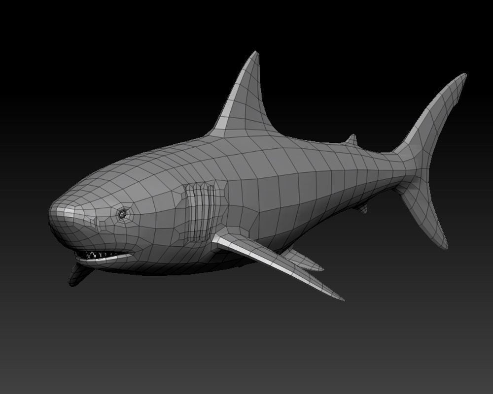 3D SHARK Low-poly 3D model_19