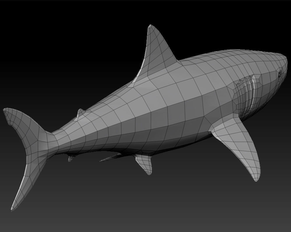 3D SHARK Low-poly 3D model_15