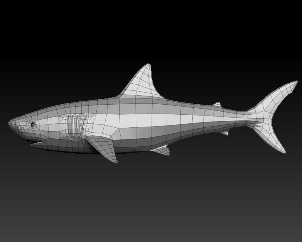 3D SHARK Low-poly 3D model_6