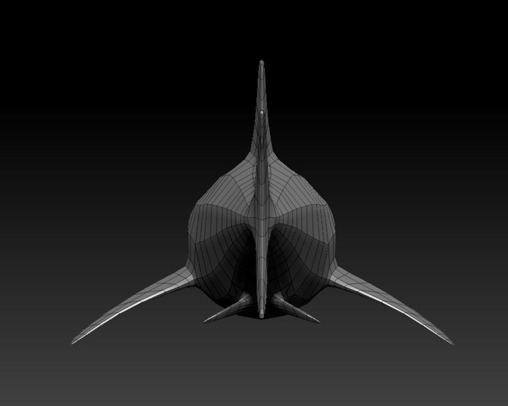 3D SHARK Low-poly 3D model_11