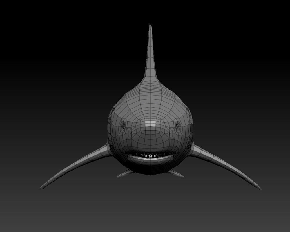3D SHARK Low-poly 3D model_18