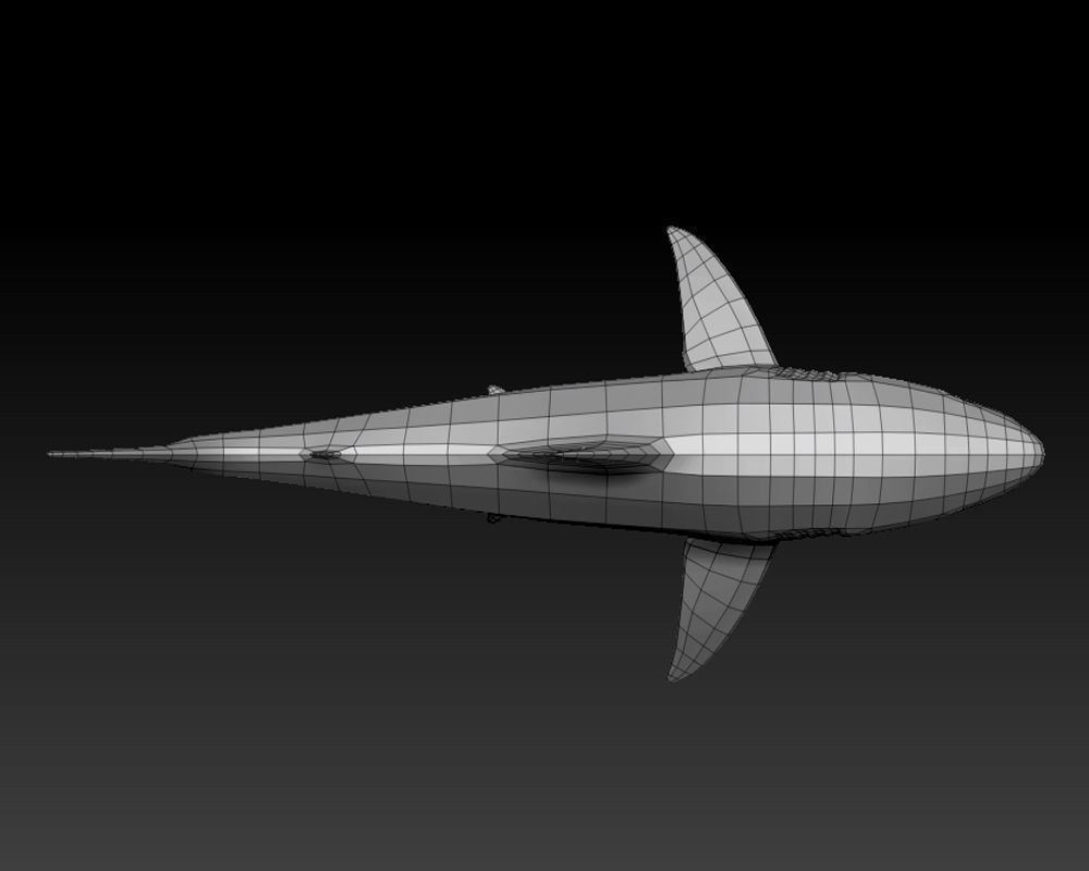 3D SHARK Low-poly 3D model_9