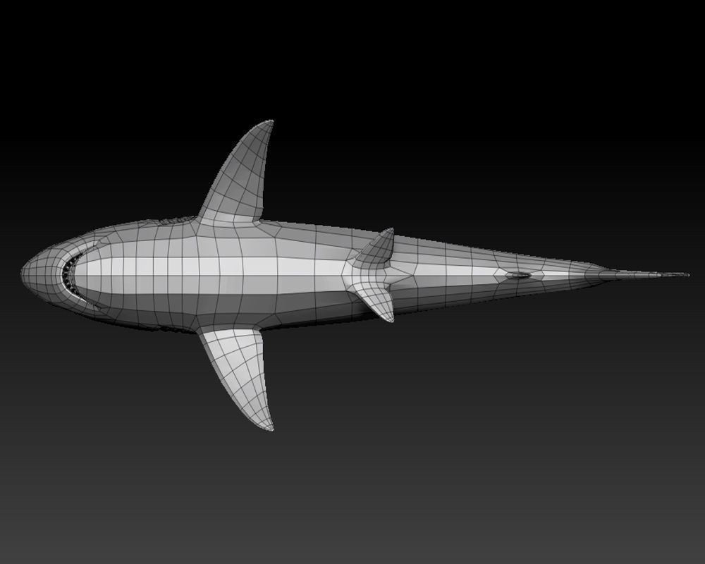 3D SHARK Low-poly 3D model_12