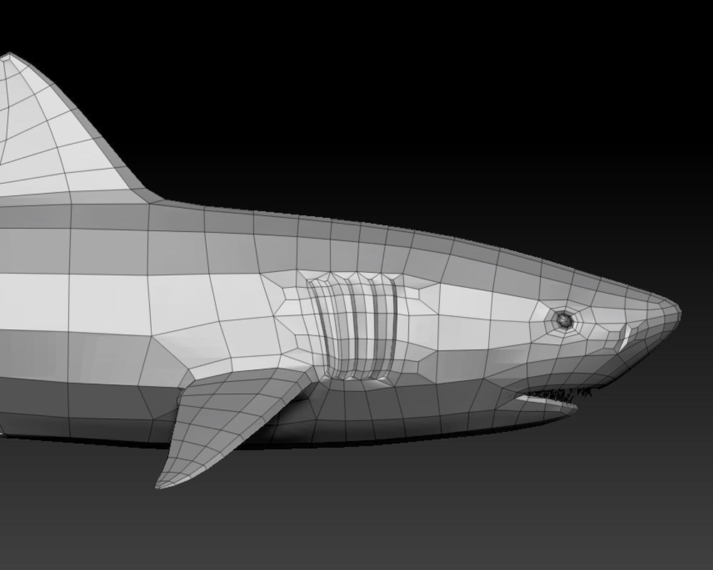 3D SHARK Low-poly 3D model_17