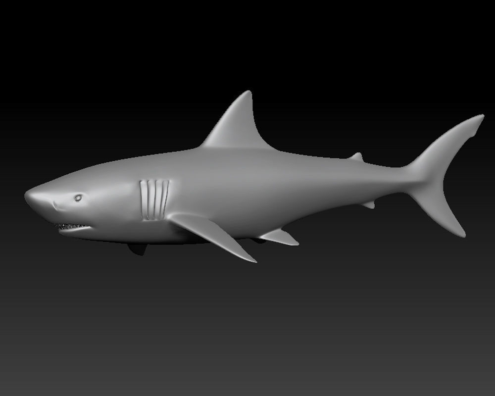 3D SHARK Low-poly 3D model_10