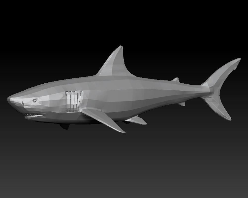 3D SHARK Low-poly 3D model_2