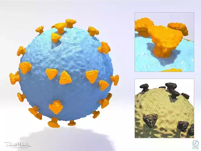 CoronaVirus Medical Model