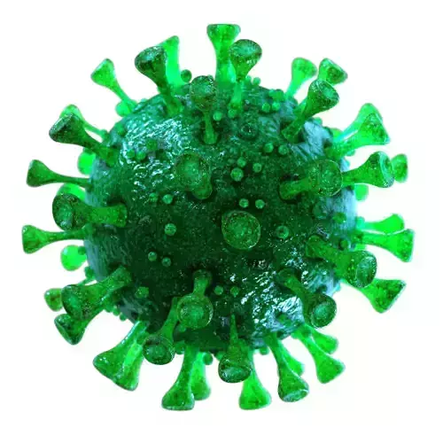  Coronavirus SARS-CoV-2 - Green