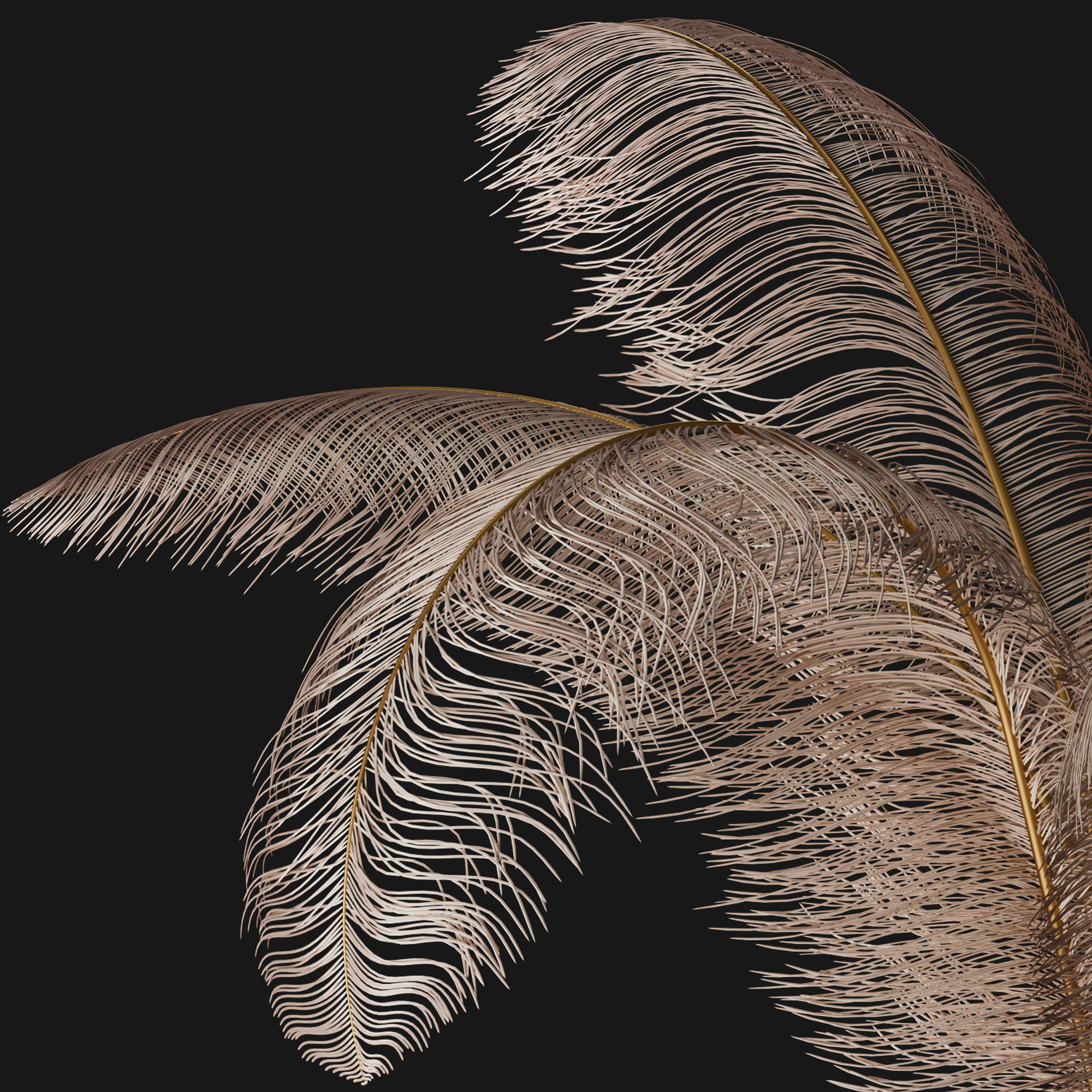 decorative set feathers wine 3D model_4