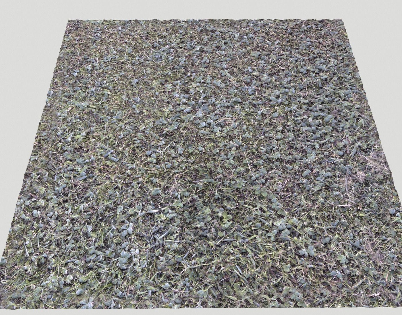 Forest Terrain Pack 24 Texture_23