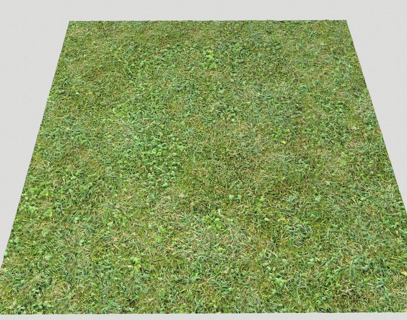 Forest Terrain Pack 24 Texture_21