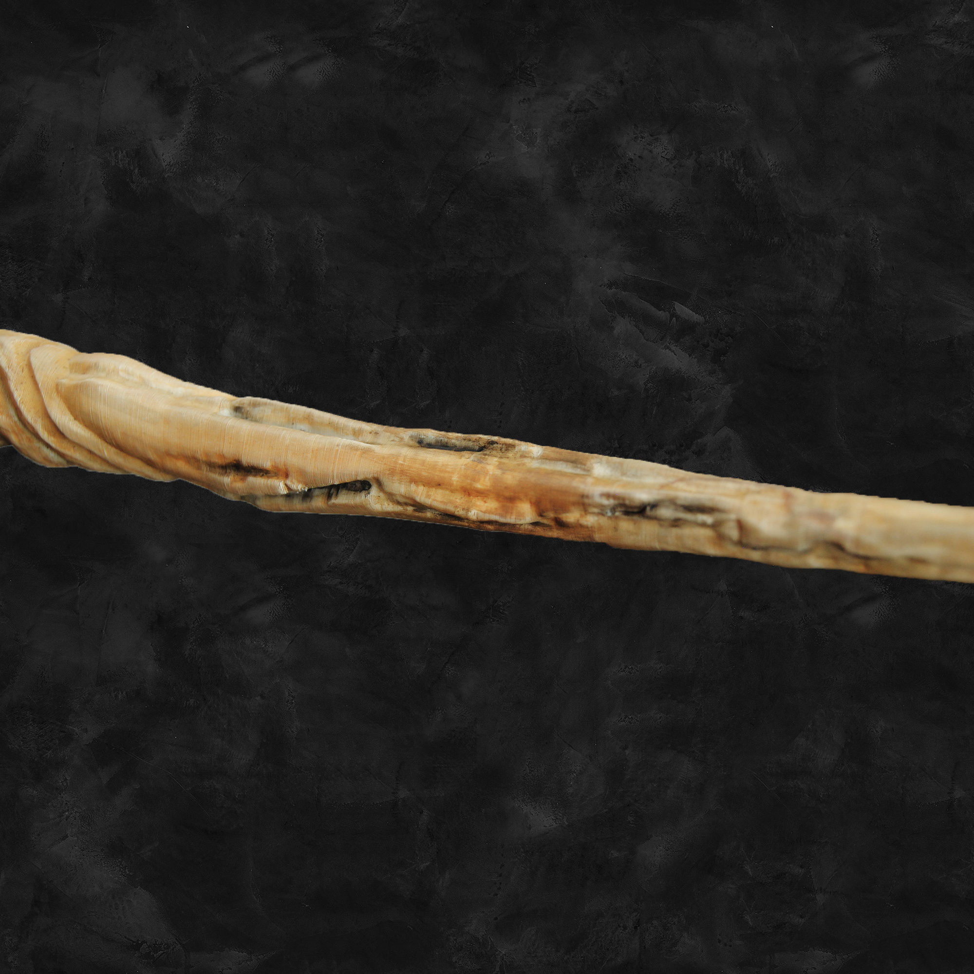 Raven Skull Wand - Harry Potter Spirit Animal 3D print model_12