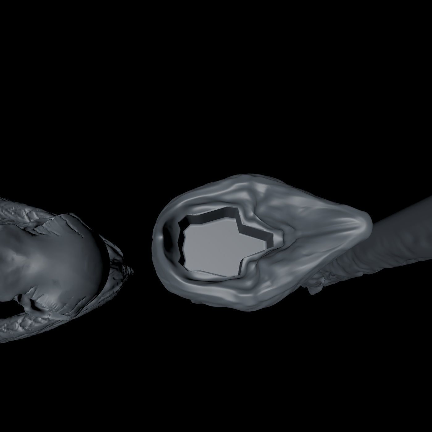 Raven Skull Wand - Harry Potter Spirit Animal 3D print model_24