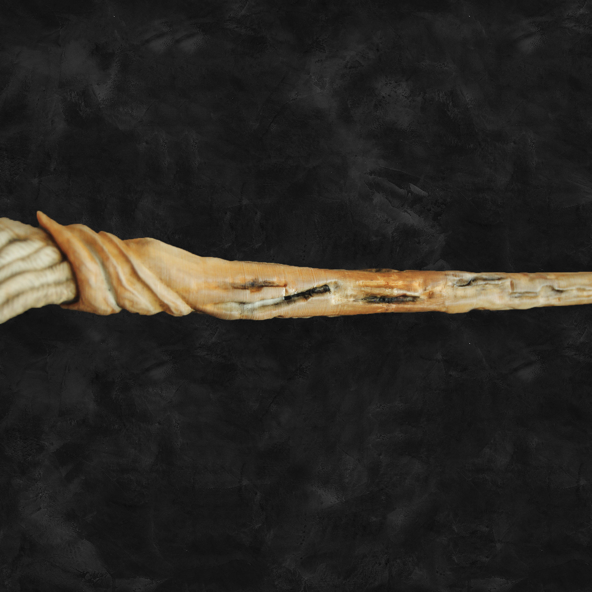 Raven Skull Wand - Harry Potter Spirit Animal 3D print model_11