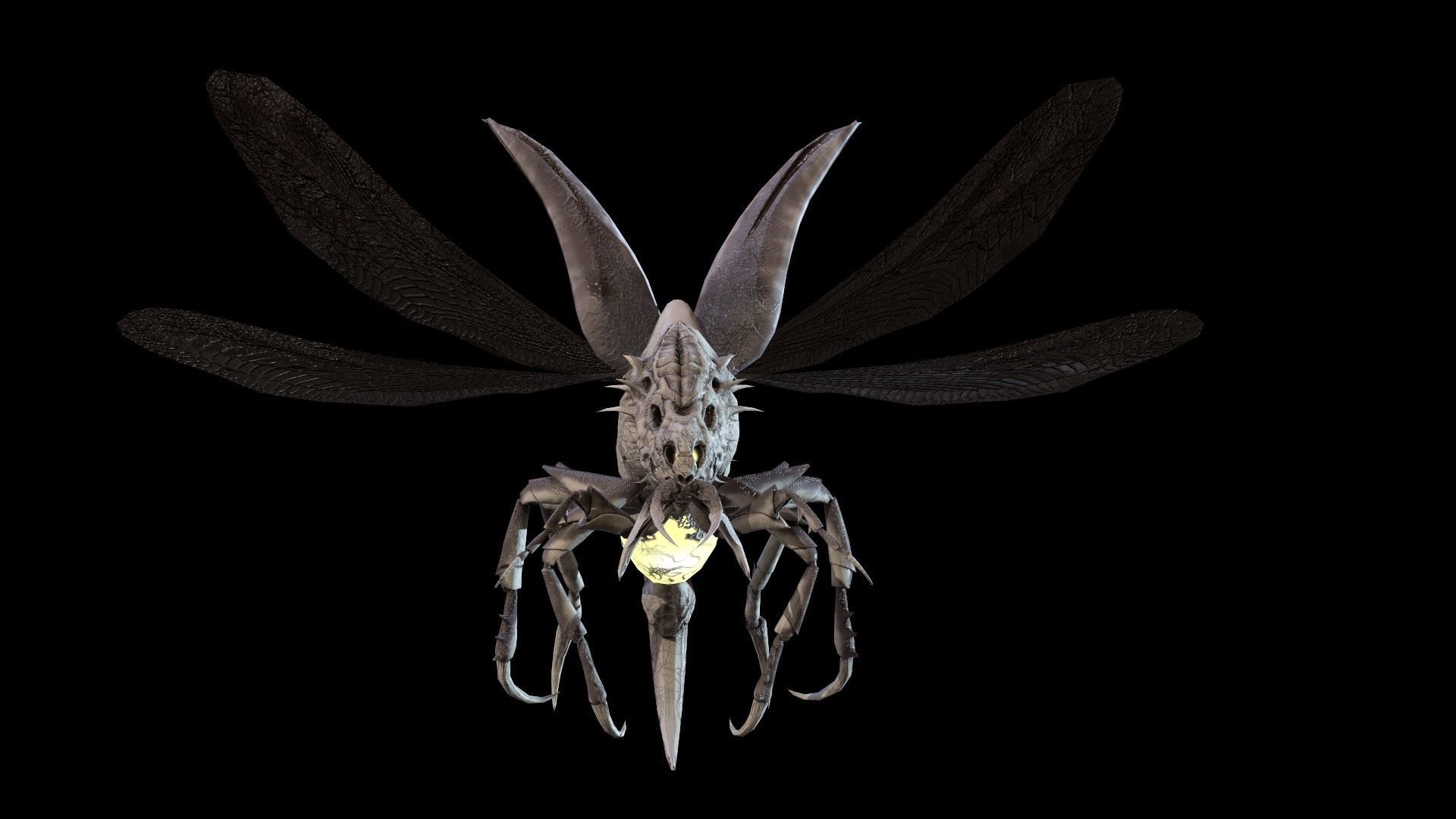 Flying Beetle6 Low-poly 3D model_12