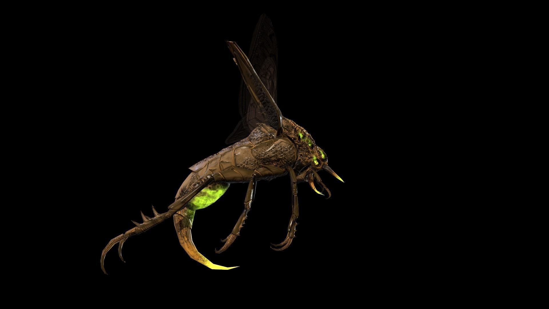 Flying Beetle6 Low-poly 3D model_11