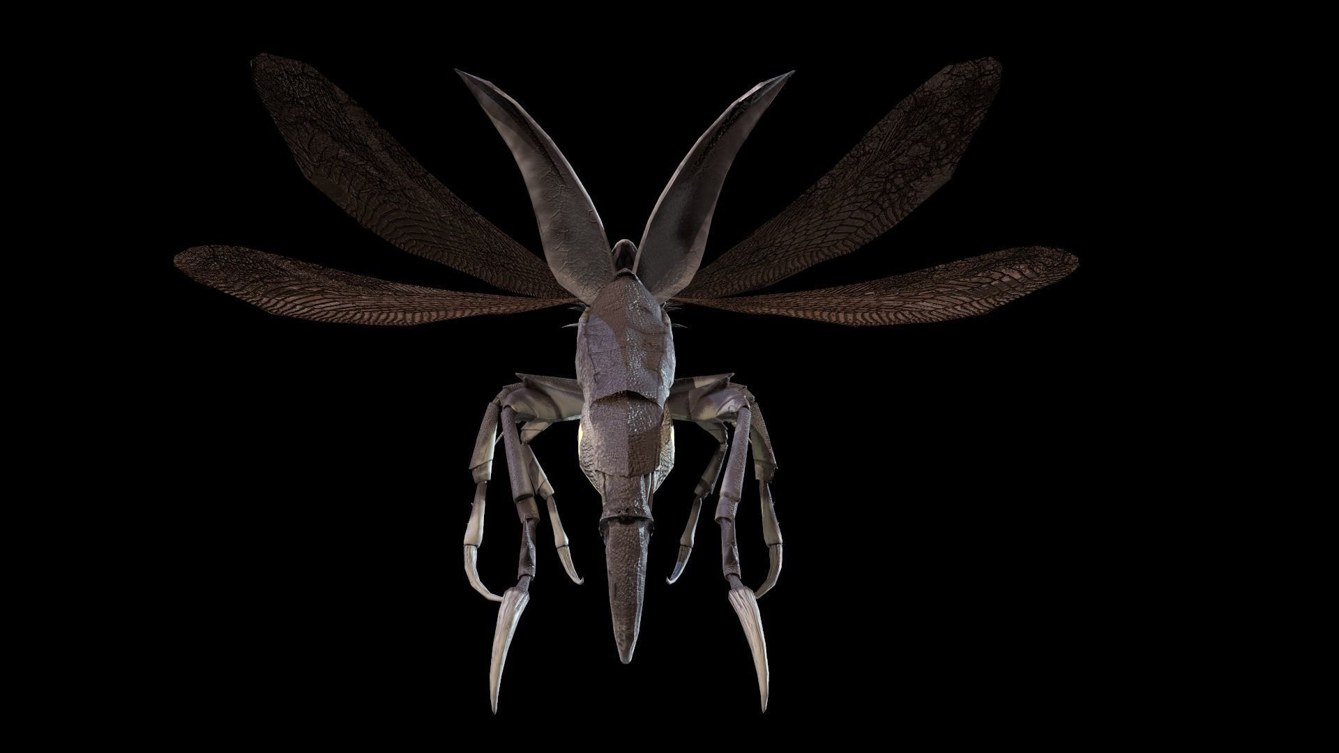 Flying Beetle6 Low-poly 3D model_16