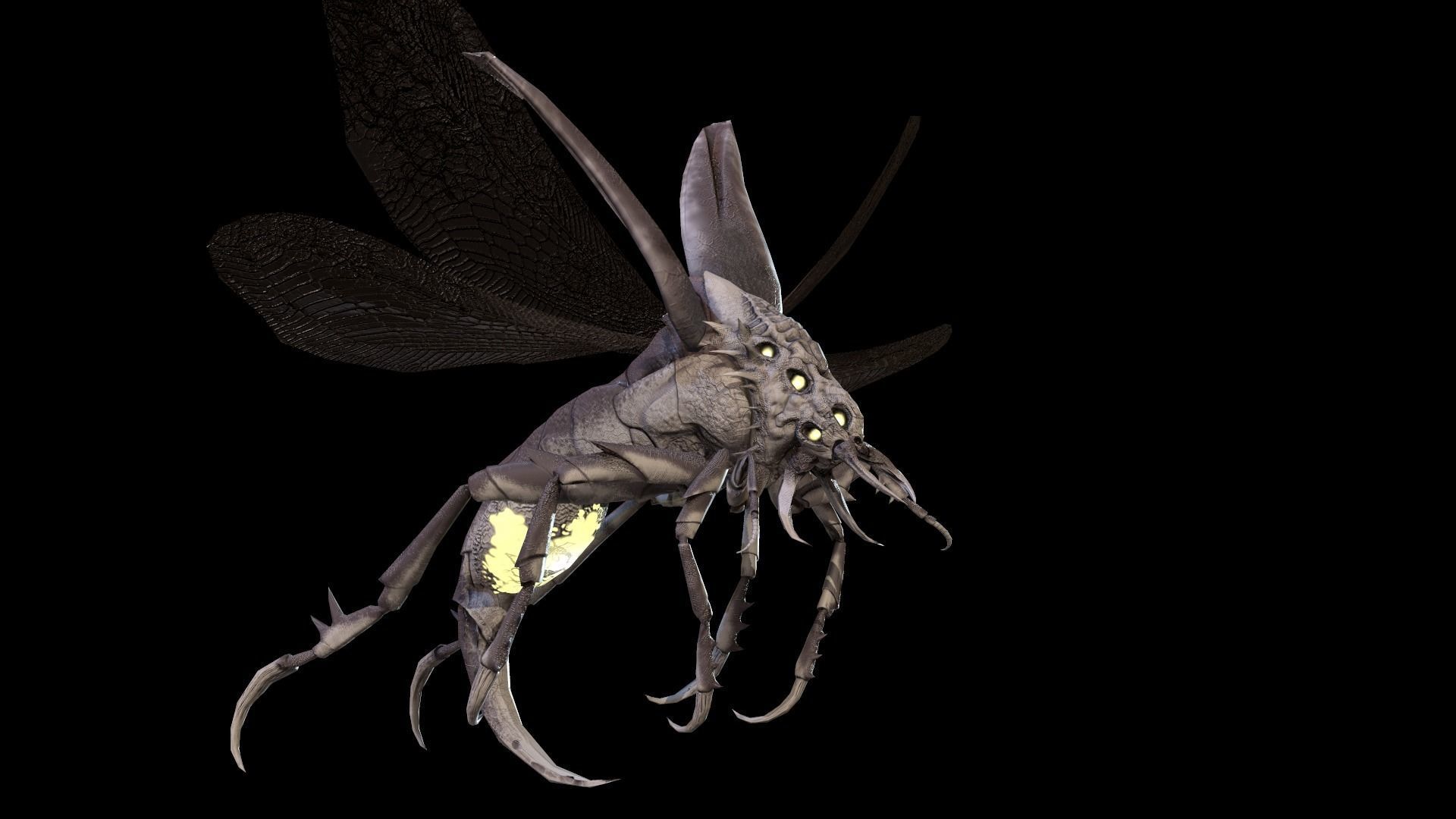 Flying Beetle6 Low-poly 3D model_10