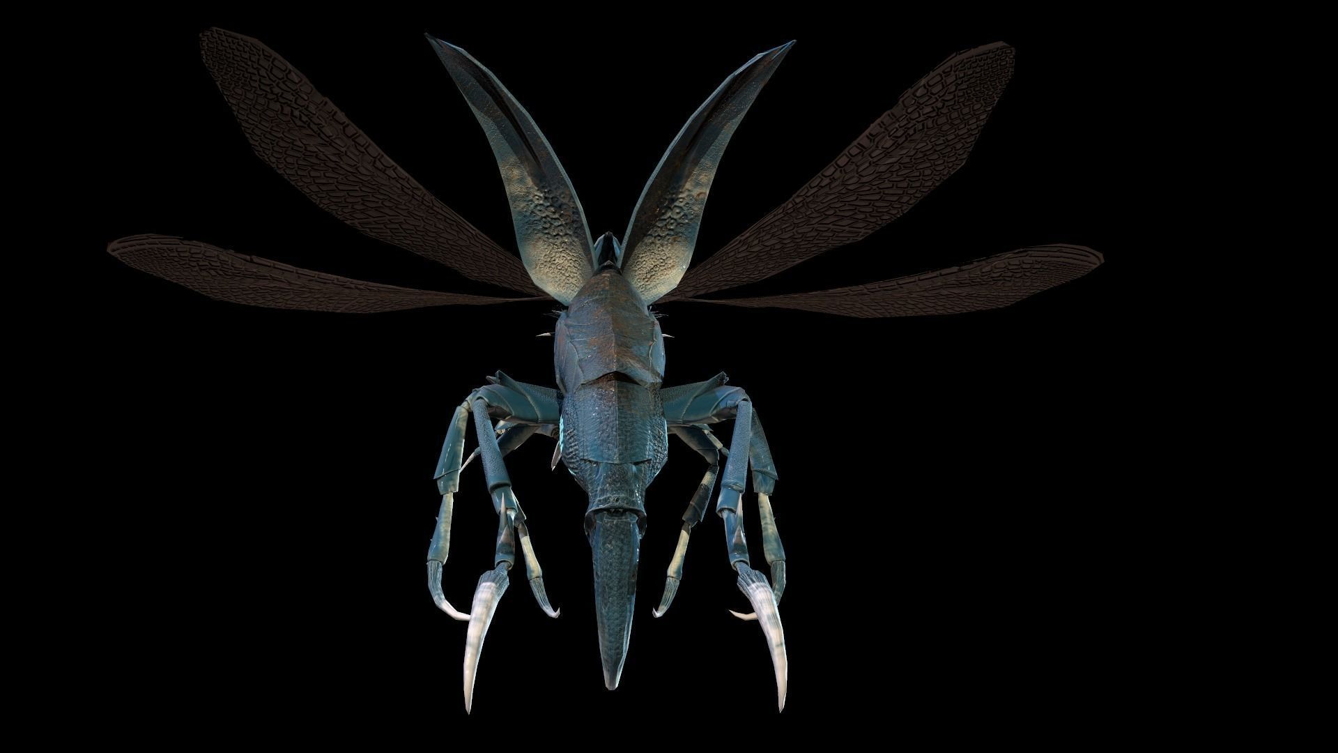 Flying Beetle6 Low-poly 3D model_17