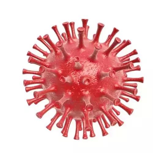 corona virus coronavirus 3D 3D model