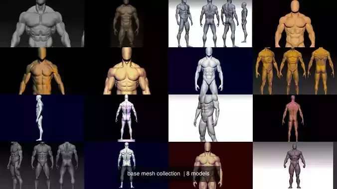 base mesh collection  