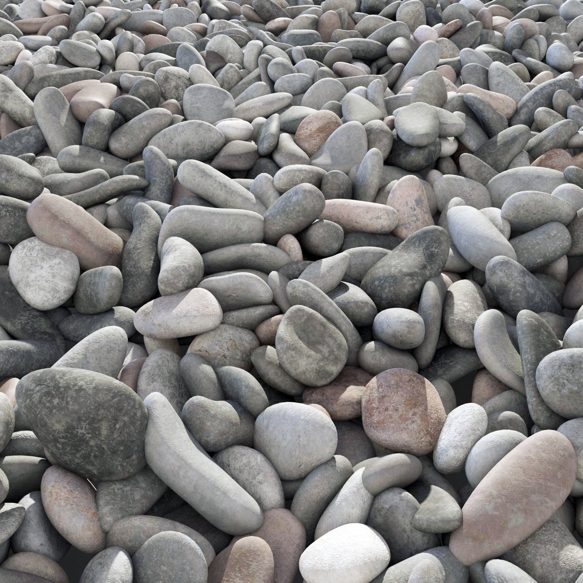 Pebble n8 low mix 3D model_1