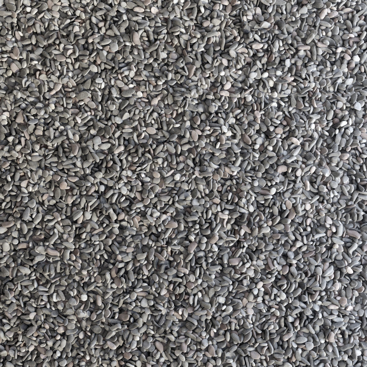 Pebble n8 low mix 3D model_3