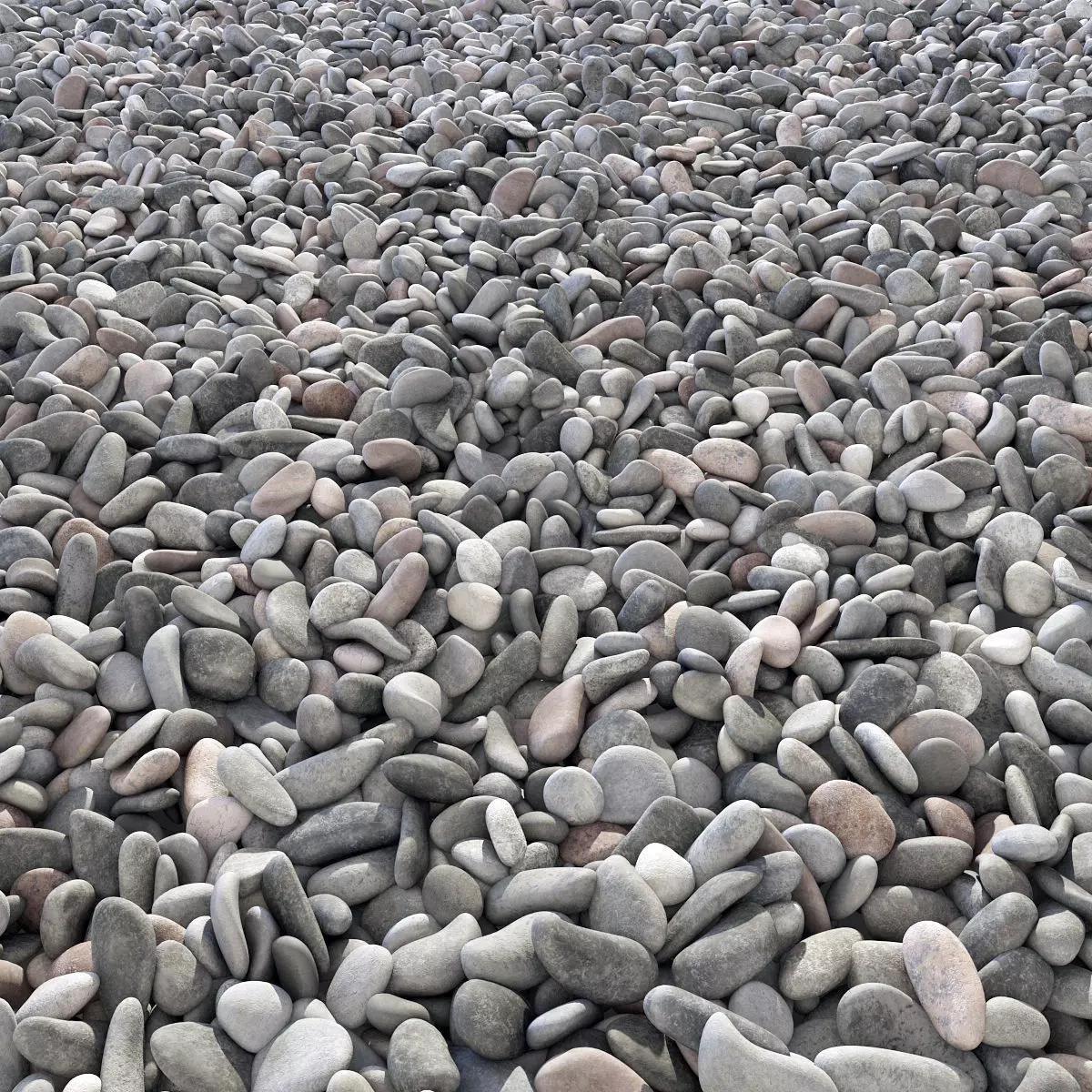 Pebble n8 low mix 3D model_0