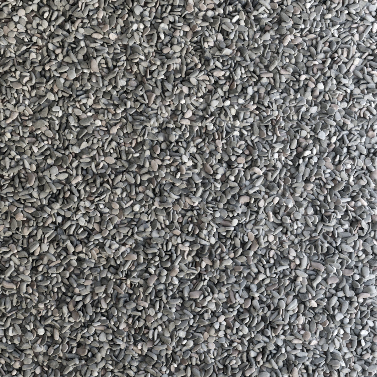 Pebble n8 low mix 3D model_4